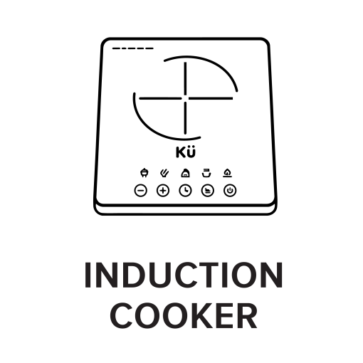 INDUCTION COOKER